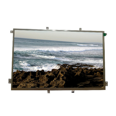 RGB Comité van het Driehoekslvds B101EVN02.0 TFT LCD Scherm voor Stootkussen &amp; Tablet