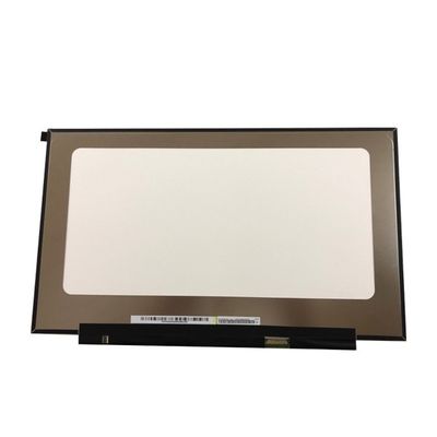 Het LEIDENE van NV173FHM-N49 17,3 duim 30 Pin Laptop LCD Vertoningsscherm