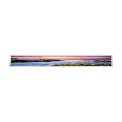 28.6 inch LCD-scherm Voor LG LD290EJN-FPN1 LCD-scherm