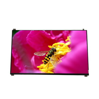 LCD van de het Schermsteen van N140BGE-E53 Innolux LCD Vertoning 14,0 Duim 30 Spelden INFORMATICA1366*768