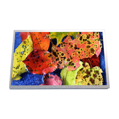 10.1 inch HSD100IFW1-A02 netbook LCD-LED-schermpaneel