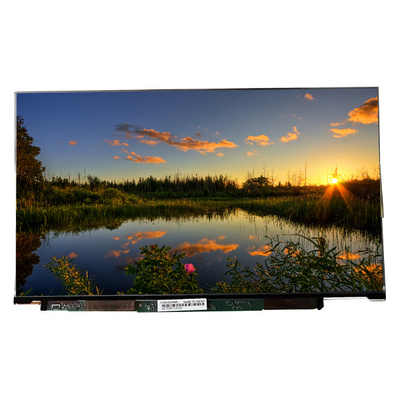 Laptop LTD131EWSX 13,1 inch 120PPI LCD scherm