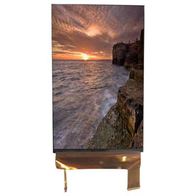 LQ070M1SX01 7,0 inch Scherm 1200*1920 LCD Scherm Monitor 71 Pins