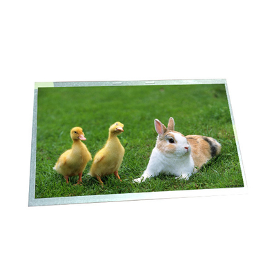 10.1 inch G101QAN01.1 61 pinnen 5 snaren WLED LCD display