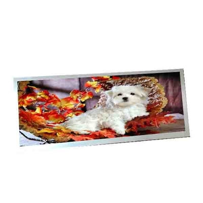 Voor AUO C123HAN02.5 12,3 inch 40 pin LCD display