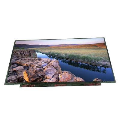 Biedt 17,3 inch B173HAN01.3 127PPI TFT LCD-paneel voor AUO