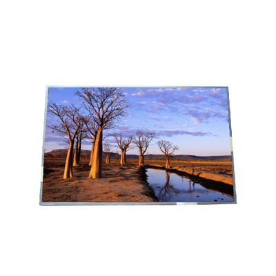 RGB 1440*900 B170PW03 V9 99PPI TFT LCD-paneel