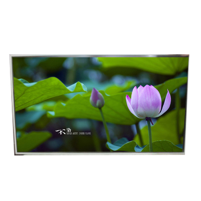 49.0 inch LD490EPN-UKH1 LCD-displaypaneel 1920*1080