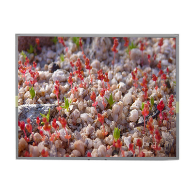 LM201W01-A6K2 20,1 inch LCD-paneel 1680*1050 LCD-display