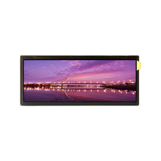 AV123Z7M-N18-5DP0 12,3 inch LCD-scherm LCD-schermmodule