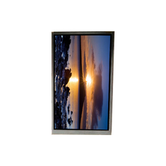 BA060WV3-100 6,0 inch 480*854 LCD-scherm voor mobiele telefoon