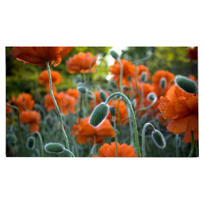 LM270WR8-SSC1 27.0 inch LCD-paneel 3840*2160 LCD-display