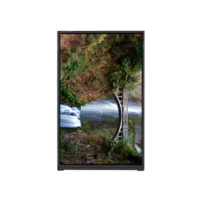 BP080WX7-101 8,0 inch LCD-scherm LCD-scherm voor tablet