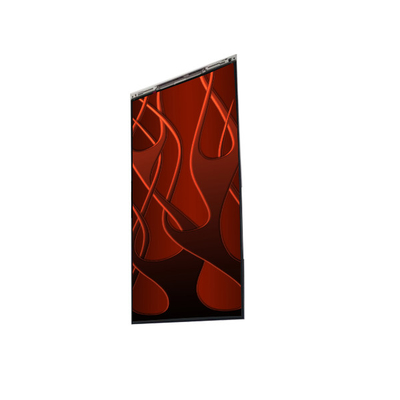 BS066FBE-L30-6Q00 6,6 inch LCD-scherm LCD-scherm PANEL