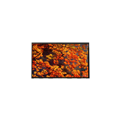 LP133WX1-TLB2 lcd-displaypaneel 13,3 inch 1280*800 lcd-schermmodule
