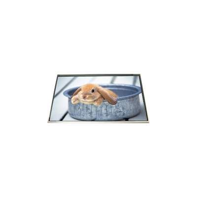 LP173WD1-TLH5 17,3 inch 60Hz LCD scherm voor laptop
