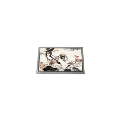 LQ133M1JW48 13,3 inch eDP 30 pins WLED TFT LCD scherm