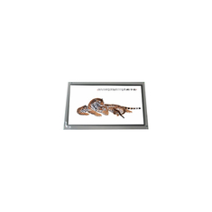1600*1200 LQ150U1LG01 15,0 inch LVDS-LCD-scherm voor desktopmonitor