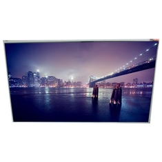 LD550PUL-HKA1 NUWE 55,0 inch 1920*1080 AM-OLED LCD-paneelmodule