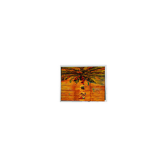 HSD070BPW1-A00 280*1424 6,9 inch LCD-scherm voor huishoudelijk apparaat