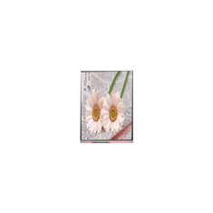 C084GNS1-1 800*600 8,4 inch TFT LCD-scherm voor industrieel gebruik