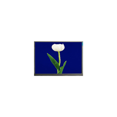 M070SWP1 R4 800*480 7,0 inch 500 cd/m2 TFT LCD scherm Onderdelen