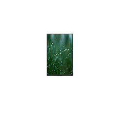8.0 inch P080DZD-DB6 800*1280 Touch LCD Panel in voorraad