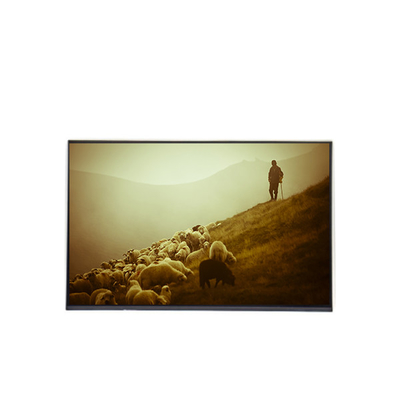 B170WP04 V0 17,0 inch LCD Display Panel 1440*900 LCD Scherm