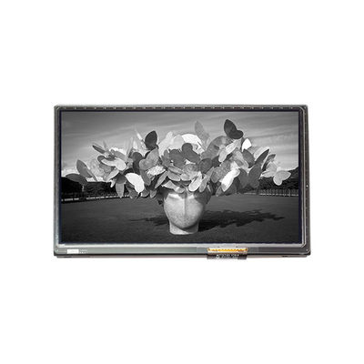Originele 7,0 inch 854 x 480 resolutie LCD scherm C070VAT01.0