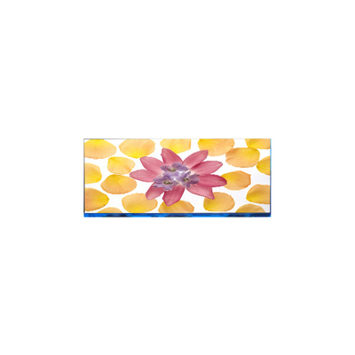 E102AWF6 R1 10,2 inch 1920*532 LCD scherm