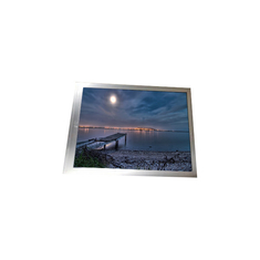 COG-PVLSZT092-01 12,3 inch lcd-schermpaneel voor industriële