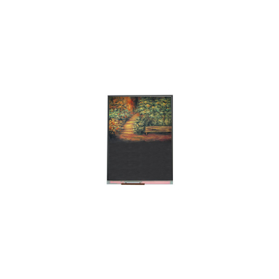 6.4 inch U064SWR1-0 tft LCD-scherm voor mobiele telefoon