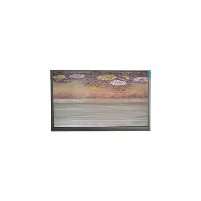 6.1 inch TFT LCD-paneel U061SWR6-0 lcd-scherm display paneel
