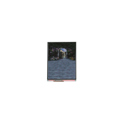 7.0 inch LCD-schermpaneel 720*1640 LCD-module U070SWRB-0