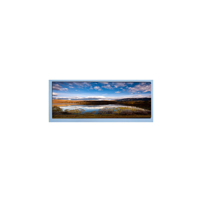 M102AWF2 R2 10,3 inch 1920*720 LCD scherm display paneel
