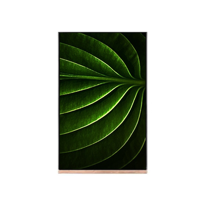 LCD-scherm 10,1 inch voor NV101WUM-N53 lcd-module