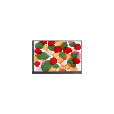 E080AWAA R1 8,0 inch lcd-paneel voor automotive display