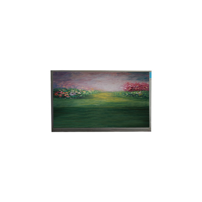 LCD-scherm voor 13,3 inch R133NWF4 RB LCD-module