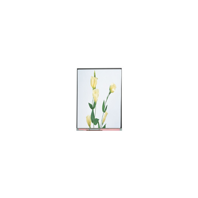 C059SWR1-0 5,9 inch LCD-scherm display paneel voor mobiele telefoon
