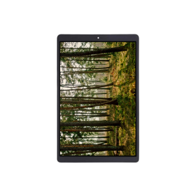 TV101WUM-LL2 10,1 inch 1200*1920 LCD scherm display module