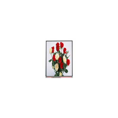 720*1480 LCD-scherm displaypaneel 6,3 inch C063SWR1-0