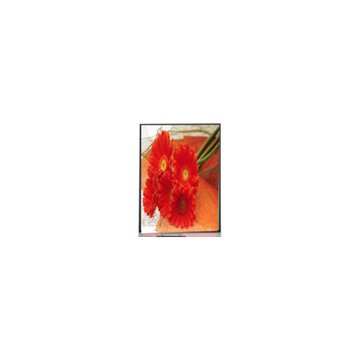 5.5 inch C055SWY9-0 LCD-scherm voor mobiele telefoon