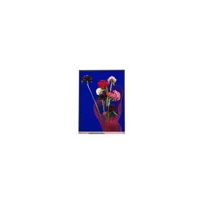 5.4 inch C054SWR6-0 540*1132 LCD-scherm voor telefoon