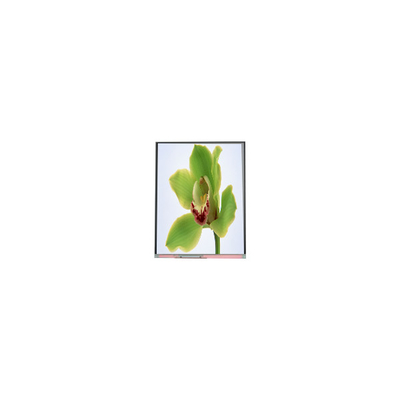 5.0 inch TFT LCD scherm 480*854 C050SWYG-3