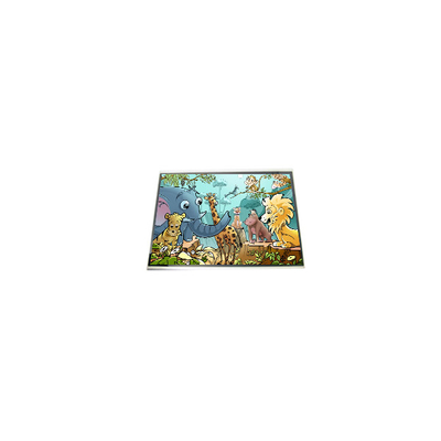 LPM060A513A 6,0 inch LCD-scherm display paneel voor mobiele telefoon