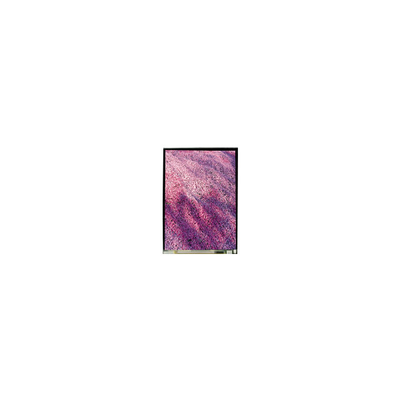 5.2 INCH LS052T3SX15 1080*1920 LCD-scherm
