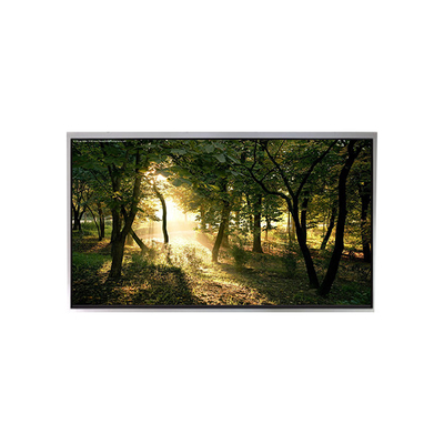 TA060VGHM01-00 6,0 inch 1080*2160 LCD-scherm voor telefoon