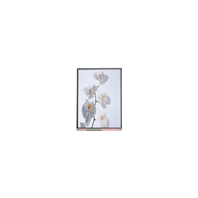 C060SWR6-1 6,0 inch 720*1528 LCD-schermpaneel