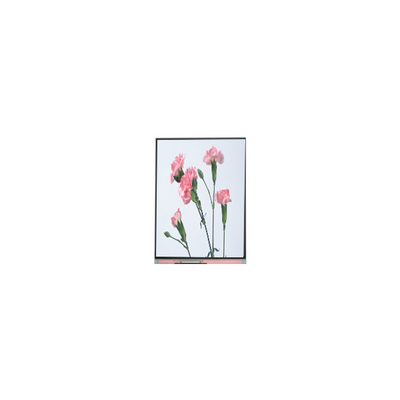 C060SWA3-3 6,0 inch 720*1280 LCD-scherm voor telefoon