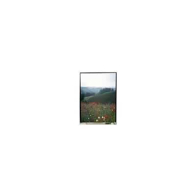 5.5 inch LS055B1SX01B LCD-paneel met aanraak voor mobiele telefoon